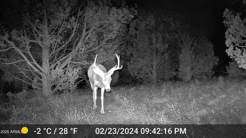 391 Juniper Ranch Rd #109, Ash Fork, AZ 86320 photo 9