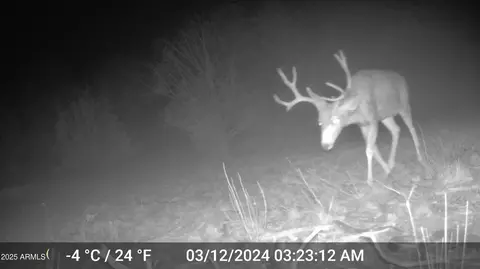 391 Juniper Ranch Rd #109, Ash Fork, AZ 86320 photo 10