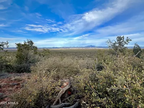 391 Juniper Ranch Rd #109, Ash Fork, AZ 86320 photo 3