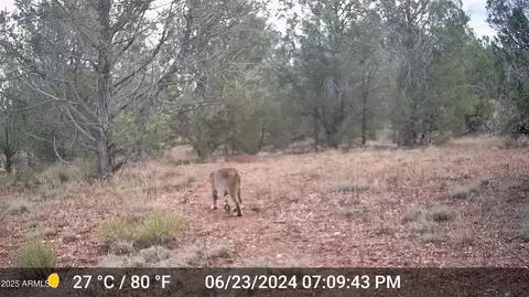 391 Juniper Ranch Rd #109, Ash Fork, AZ 86320 photo 11