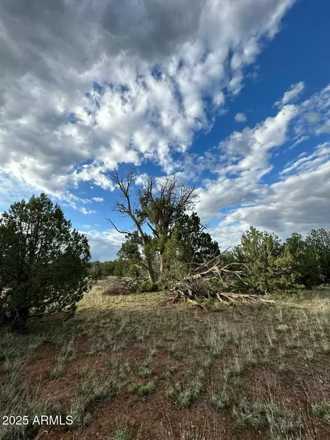 391 Juniper Ranch Rd #109, Ash Fork, AZ 86320 photo 12