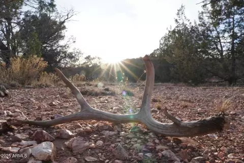 391 Juniper Ranch Rd #109, Ash Fork, AZ 86320 photo 7
