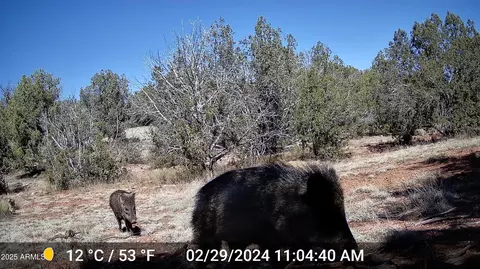 391 Juniper Ranch Rd #109, Ash Fork, AZ 86320 photo 6