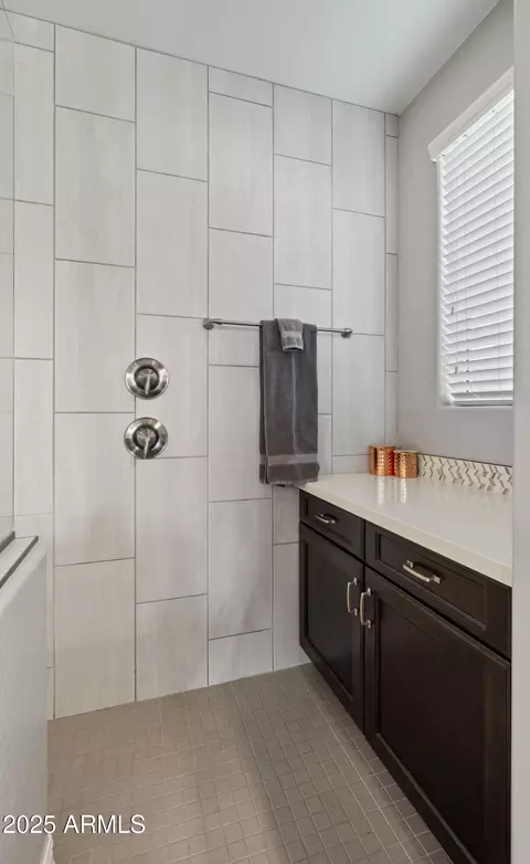 Bath - 10455 E Thatcher Ave, Mesa, AZ 85212 photo 6 of 8