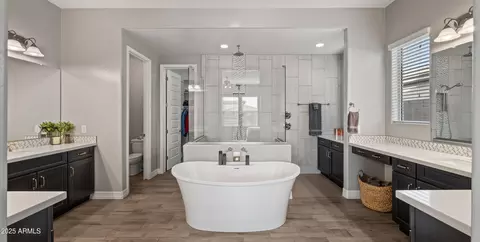 Bath - 10455 E Thatcher Ave, Mesa, AZ 85212 photo 2 of 8