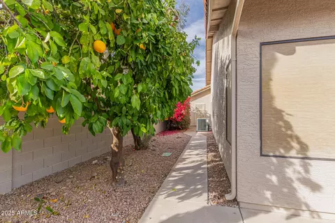 5865 E Jasmine St, Mesa, AZ 85205 photo 43