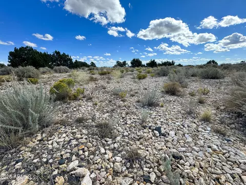 lot31 N Acr 7320 Rd #31, Saint Johns, AZ 85936