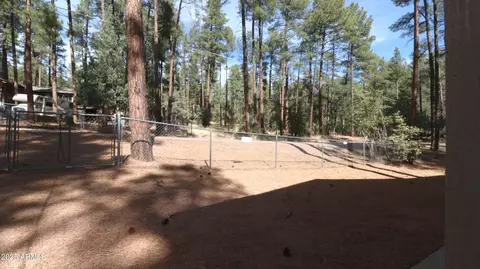8895 W Dans Hwy, Pine, AZ 85544 photo 74
