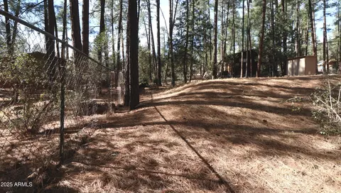 8895 W Dans Hwy, Pine, AZ 85544 photo 70