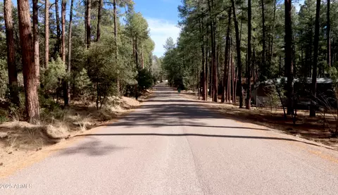 8895 W Dans Hwy, Pine, AZ 85544 photo 73