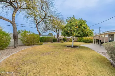 Exterior - 204 E Del Rio Dr, Tempe, AZ 85282 photo 10 of 16