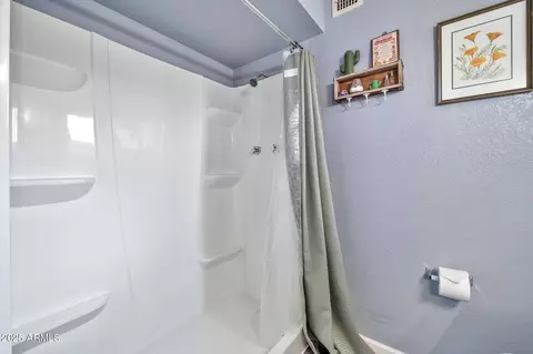 Bath - 4229 W Aster Dr, Phoenix, AZ 85029 photo 2 of 3
