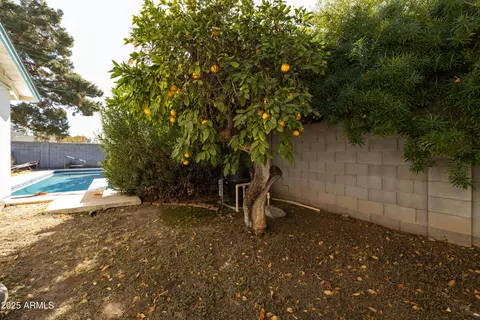 3511 Elm St, Phoenix, AZ 85018 photo 19