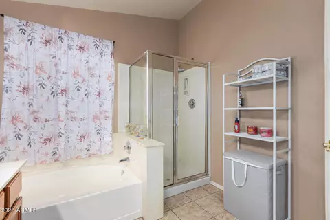 Bath - 9751 E Impala Ave, Mesa, AZ 85209 photo 2 of 4