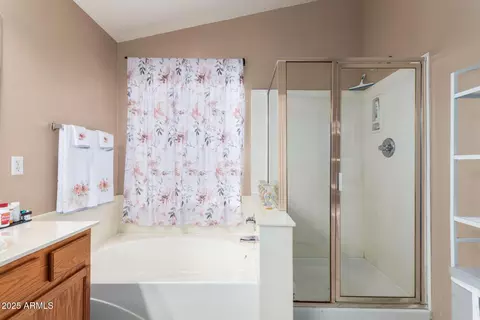 Bath - 9751 E Impala Ave, Mesa, AZ 85209 photo 3 of 4