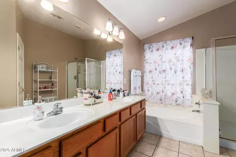 Bath - 9751 E Impala Ave, Mesa, AZ 85209 photo 1 of 4