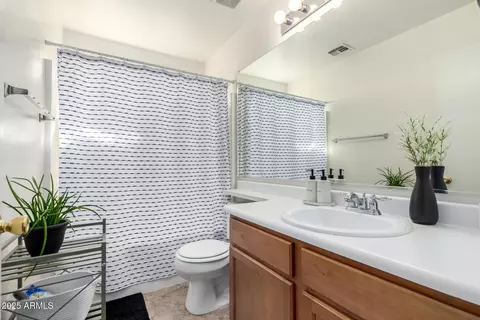 5145 W Odeum Ln, Phoenix, AZ 85043 photo 20
