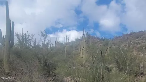 NNNNN S Cow Creek Road #61, Morristown, AZ 85342