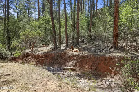 Other - 6285 W Bradshaw Dr, Pine, AZ 85544 photo 4 of 6