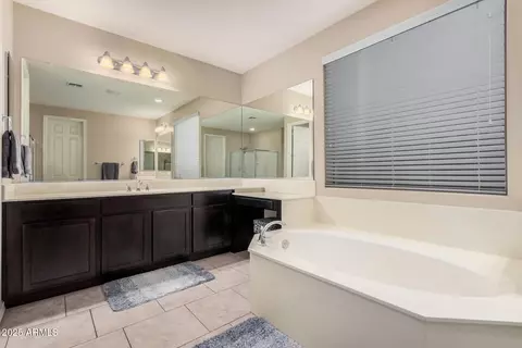 Bath - 3687 E Blue Spruce Ln, Gilbert, AZ 85298 photo 6 of 8