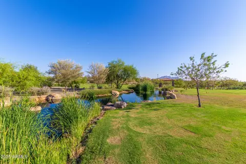 Other - 3687 E Blue Spruce Ln, Gilbert, AZ 85298 photo 18 of 21