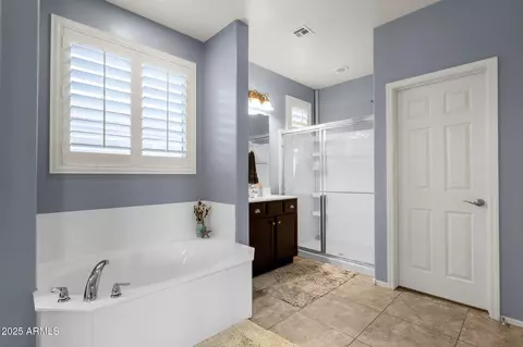 Bath - 2463 E Stacey Rd, Gilbert, AZ 85298 photo 2 of 5