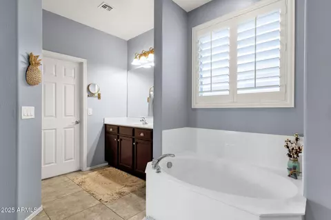 Bath - 2463 E Stacey Rd, Gilbert, AZ 85298 photo 3 of 5
