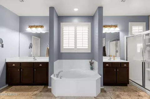 Bath - 2463 E Stacey Rd, Gilbert, AZ 85298 photo 1 of 5