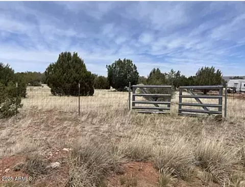 30386 W Basconia Rd #4394, Seligman, AZ 86337
