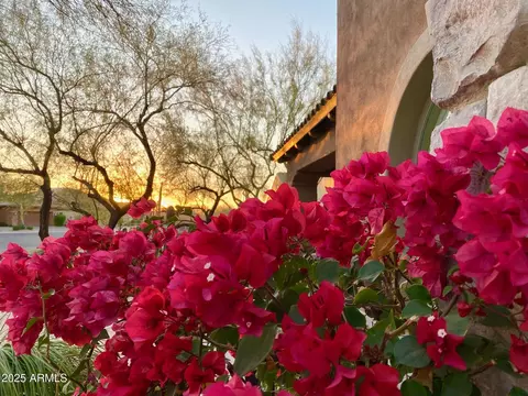 Other - 3912 E Williams Dr, Phoenix, AZ 85050 photo 1 of 15