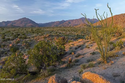 0 Carmen Rd Allison Dr #-, Yucca, AZ 86438