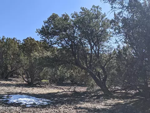 lot61 Stanford -- #61, Vernon, AZ 85940