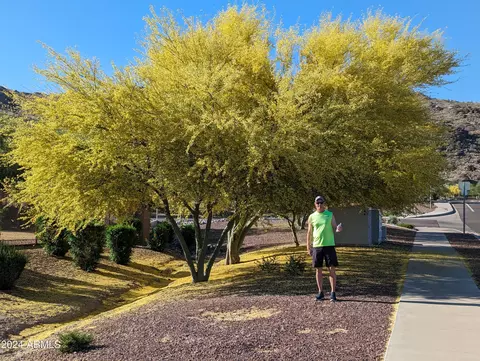 Other - 3212 E Constance Way, Phoenix, AZ 85042 photo 63 of 69