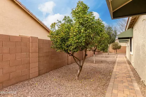 Exterior - 3020 E Tiffany Way, Gilbert, AZ 85298 photo 12 of 13