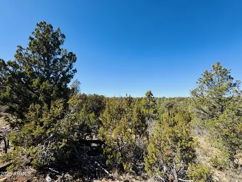 4108 Sunset Ridge Loop #135, Happy Jack, AZ 86024
