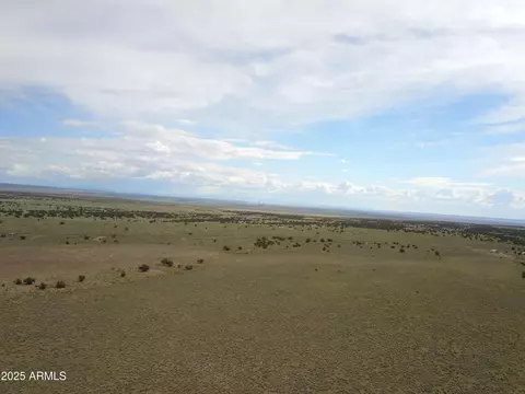 tbd 42 In Acres Carrizo Rnch E #36, Saint Johns, AZ 85936