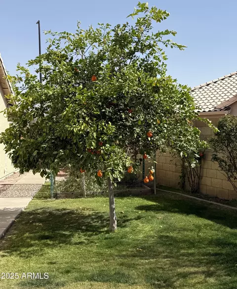 750 S Cholla St, Gilbert, AZ 85233 photo 7