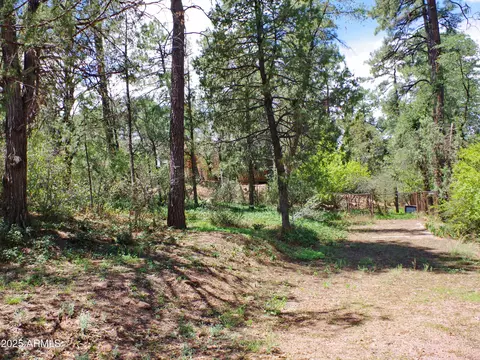 Exterior - 202 E Frontier St, Payson, AZ 85541 photo 5 of 5