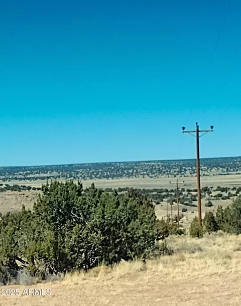 lot1096 Woodland Valley Rnch #1096, Saint Johns, AZ 85936