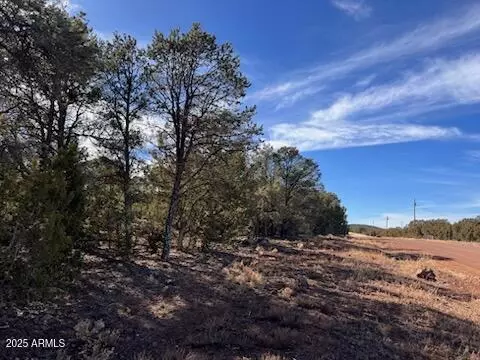 138 Acr 3158 -- #135, Vernon, AZ 85940