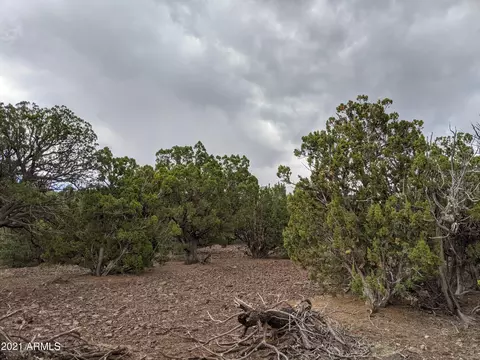 lot79 Ranch Rd #79, Vernon, AZ 85940