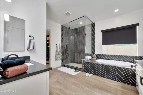 Bath - 1464 E Aris Dr, Gilbert, AZ 85298 photo 2 of 6