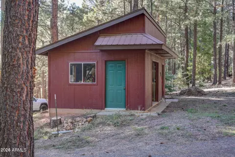 3076 Summer Loop, Forest Lakes, AZ 85931 photo 6