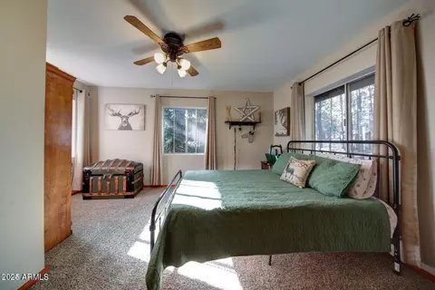 3076 Summer Loop, Forest Lakes, AZ 85931 photo 30
