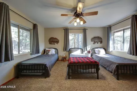 3076 Summer Loop, Forest Lakes, AZ 85931 photo 26