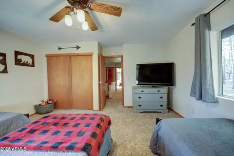 3076 Summer Loop, Forest Lakes, AZ 85931 photo 27