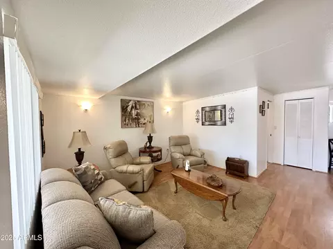 864 S Motherlode Dr, Apache Junction, AZ 85119 photo 17