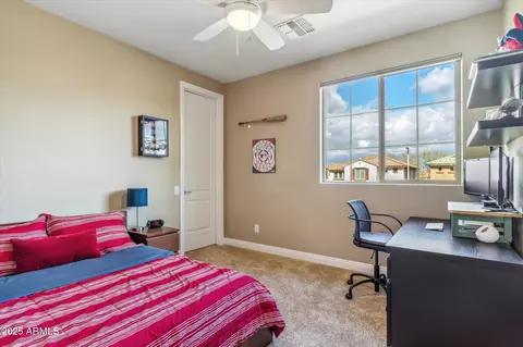 3713 E Cat Balue Dr, Phoenix, AZ 85050 photo 29