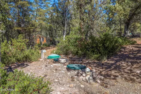 3478 N Wilderness Trl #1, Pine, AZ 85544 photo 15