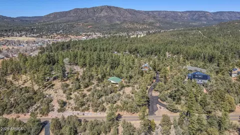 3478 N Wilderness Trl #1, Pine, AZ 85544 photo 9